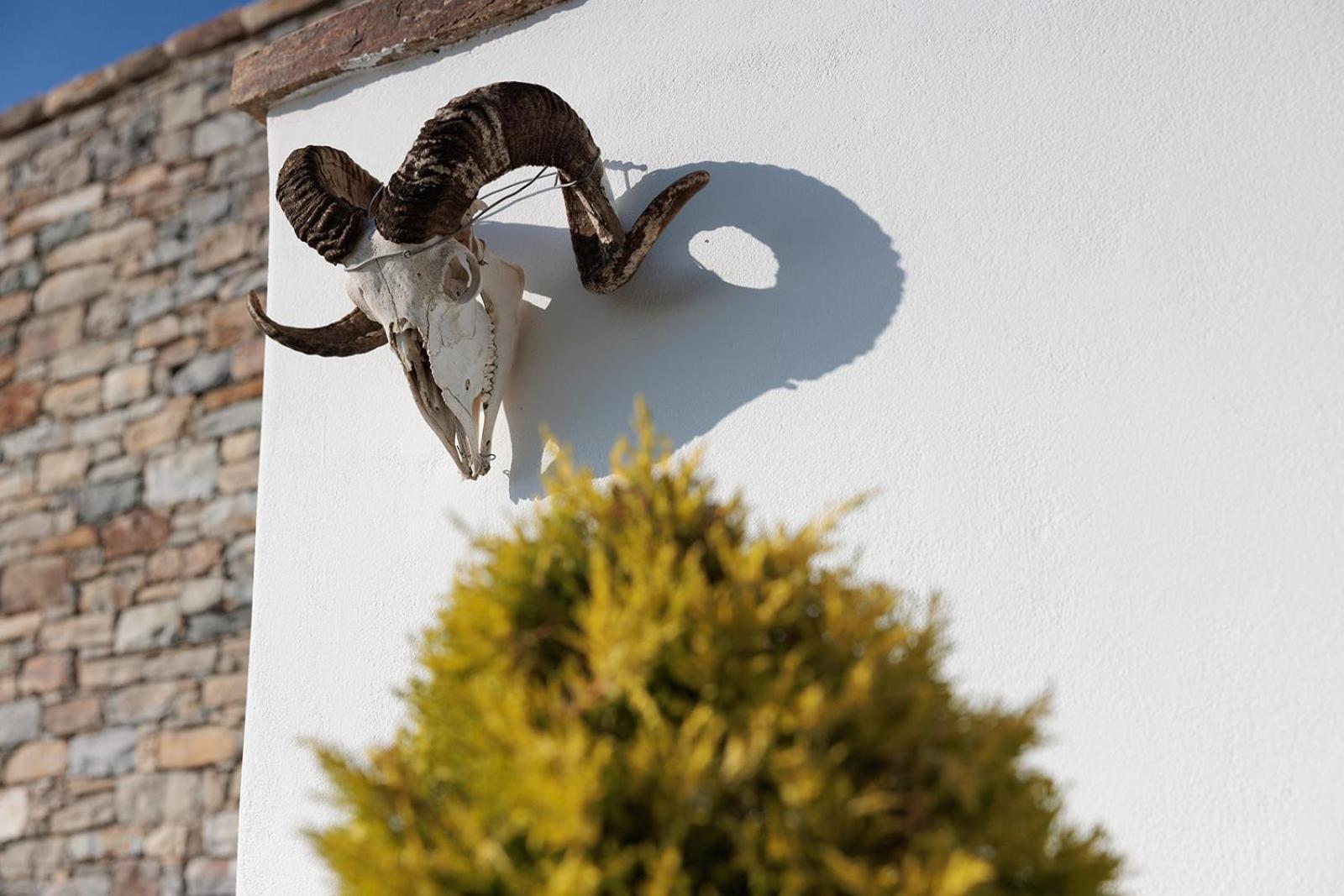 Villa Papa Glinado Naxos エクステリア 写真